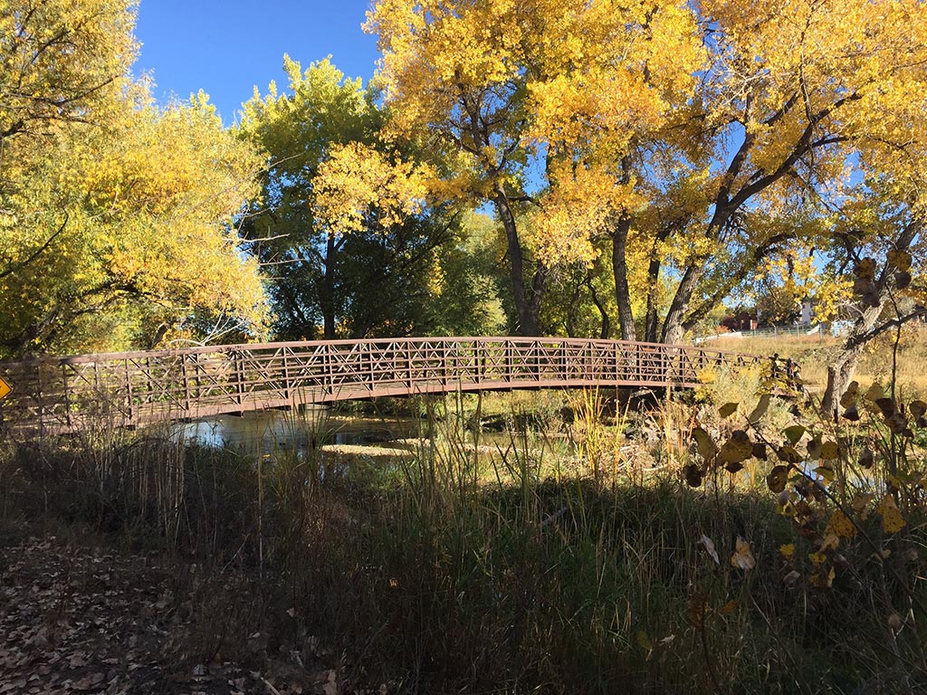 Stream and bridge in the fall