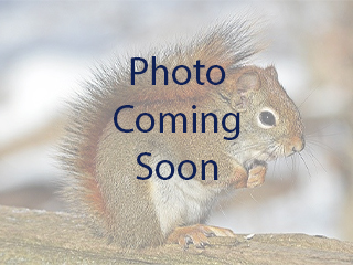 Photo Coming Soon